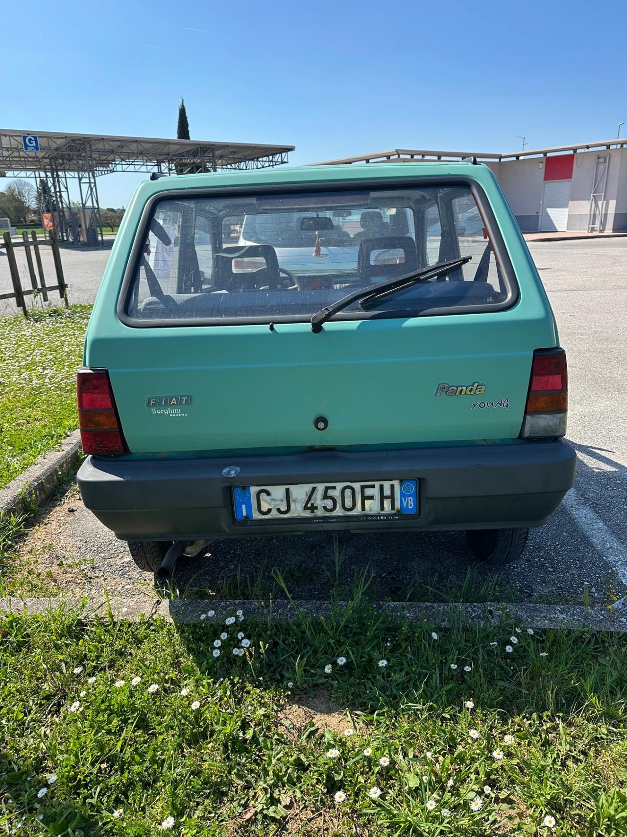 Fiat Panda 1100 i.e. cat Young