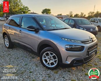 C4 Cactus PREZZO FINALE SOLO AGOSTO