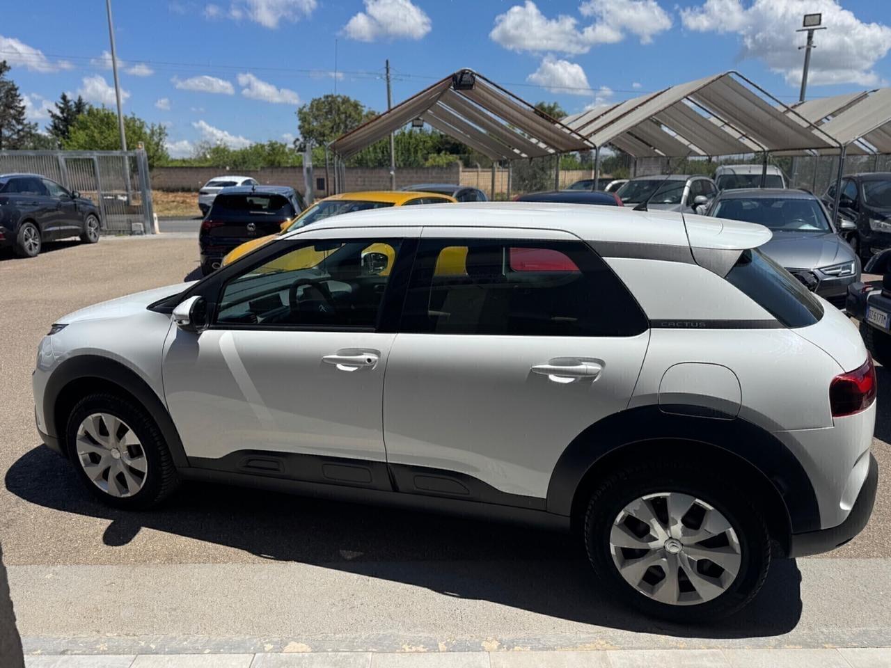 Citroen C4 Cactus BlueHDi 100 CASTELLETTO 8MM