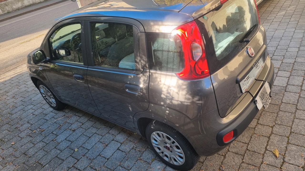 Fiat Panda 1.2 69CV 10/2018 Km 21000 neopat