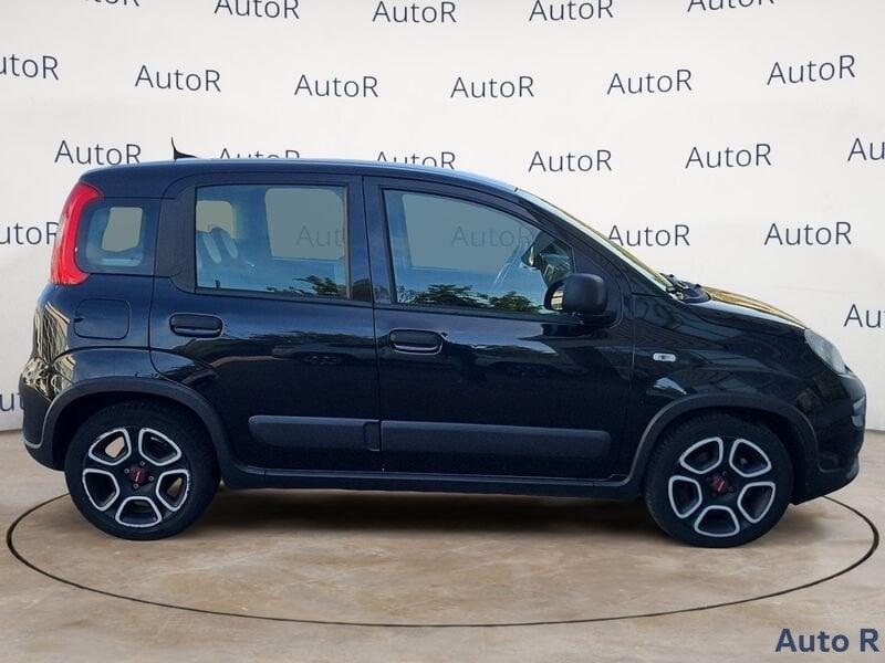 FIAT Panda Panda 1.0 firefly hybrid s&s 70cv