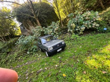 Fiat Panda 1000 i.e. cat 4x4 Trekking