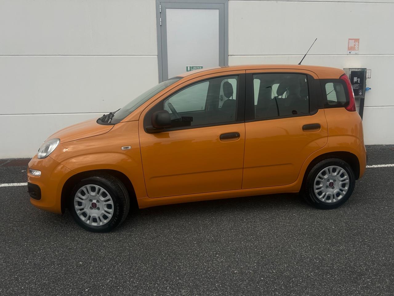 Fiat Panda 1.0 FireFly S&S Hybrid UNICO PROP