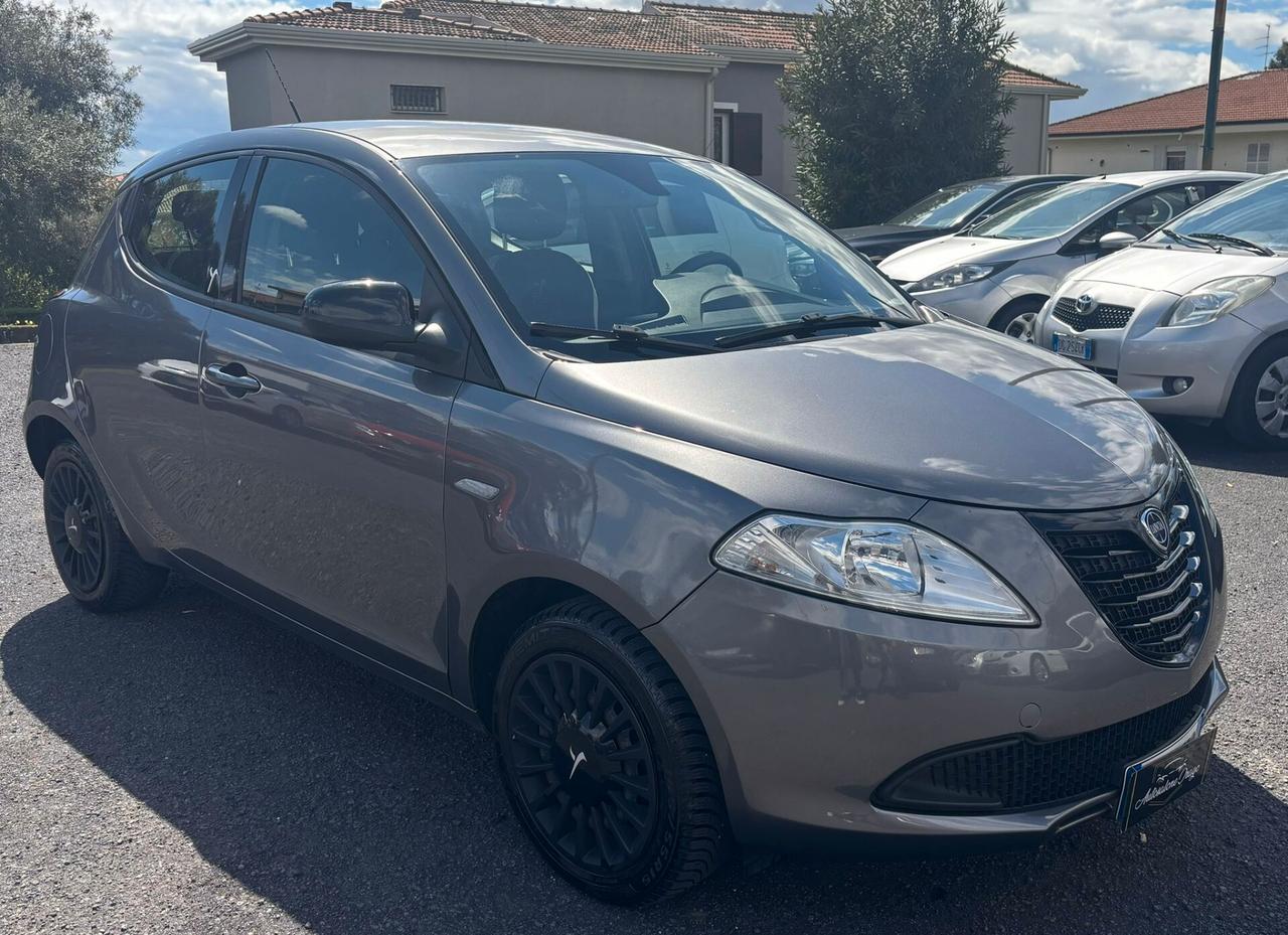 Lancia Ypsilon 1.3 MJT 16V 95 CV 5 porte S&S Elefantino