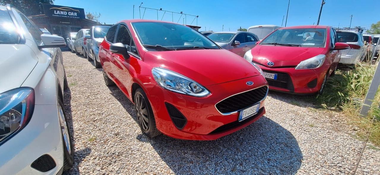 Ford Fiesta 1.1 85 CV 5 porte Business