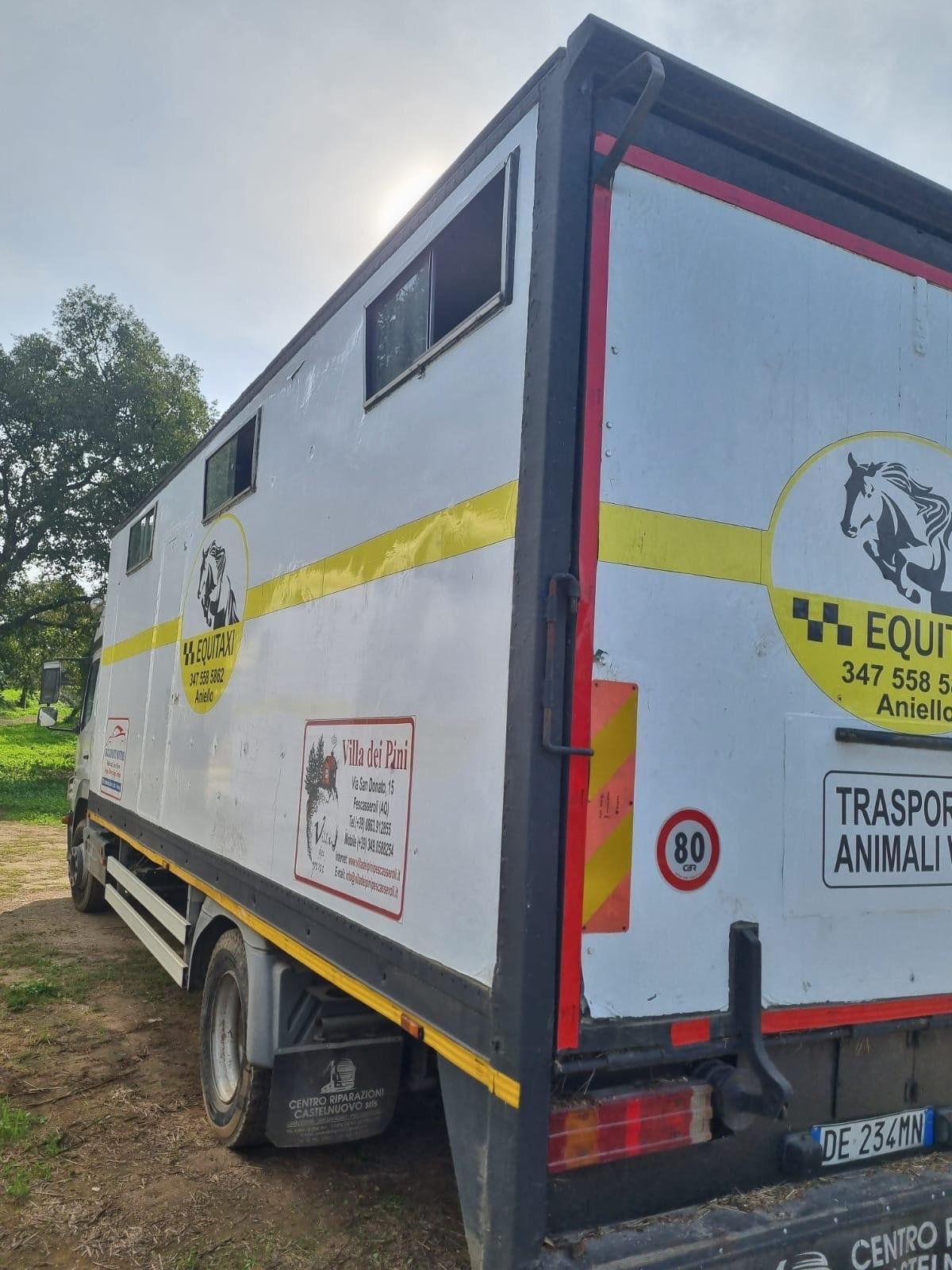 Mercedes Benz 12-23 TRASPORTO CAVALLI 8 POSTI