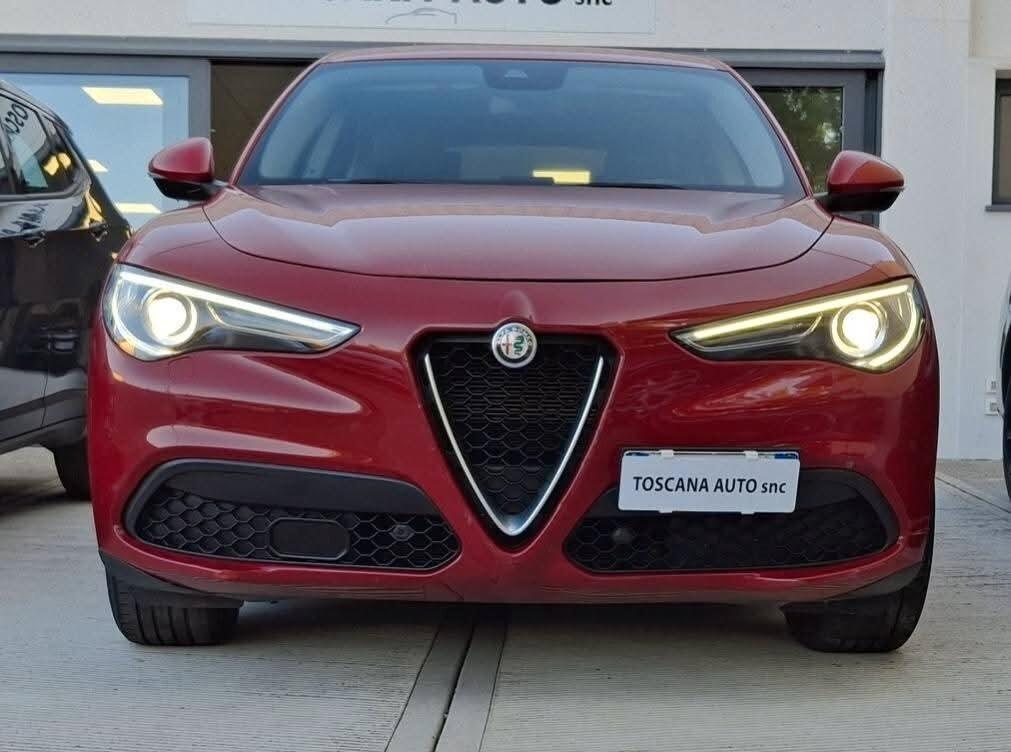 Alfa Romeo Stelvio 2.2 160 CV AT8 Sedili in pelle