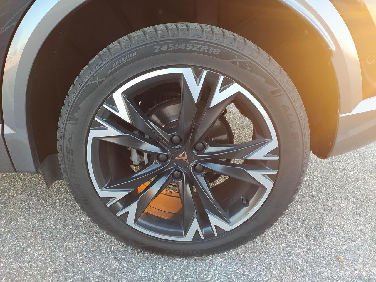 Cupra Formentor Tribe Edition 2.0 TDI #8281