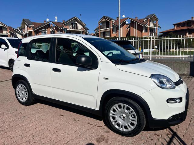 FIAT Panda 1.0 FireFly S&S Hybrid +pack radio sensori 5 posti