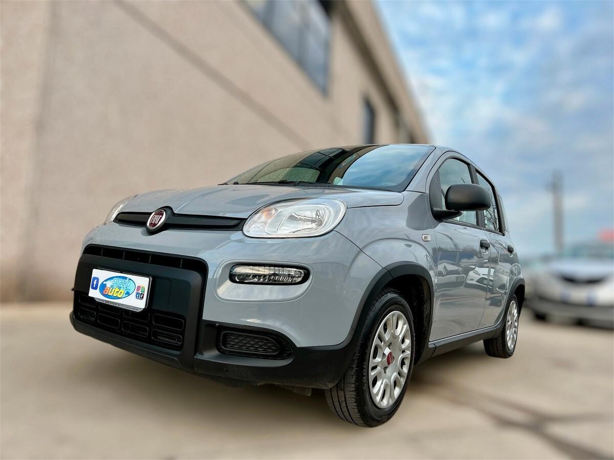 Fiat Panda 1.2 EasyPower Easy X NEOPATENTATI