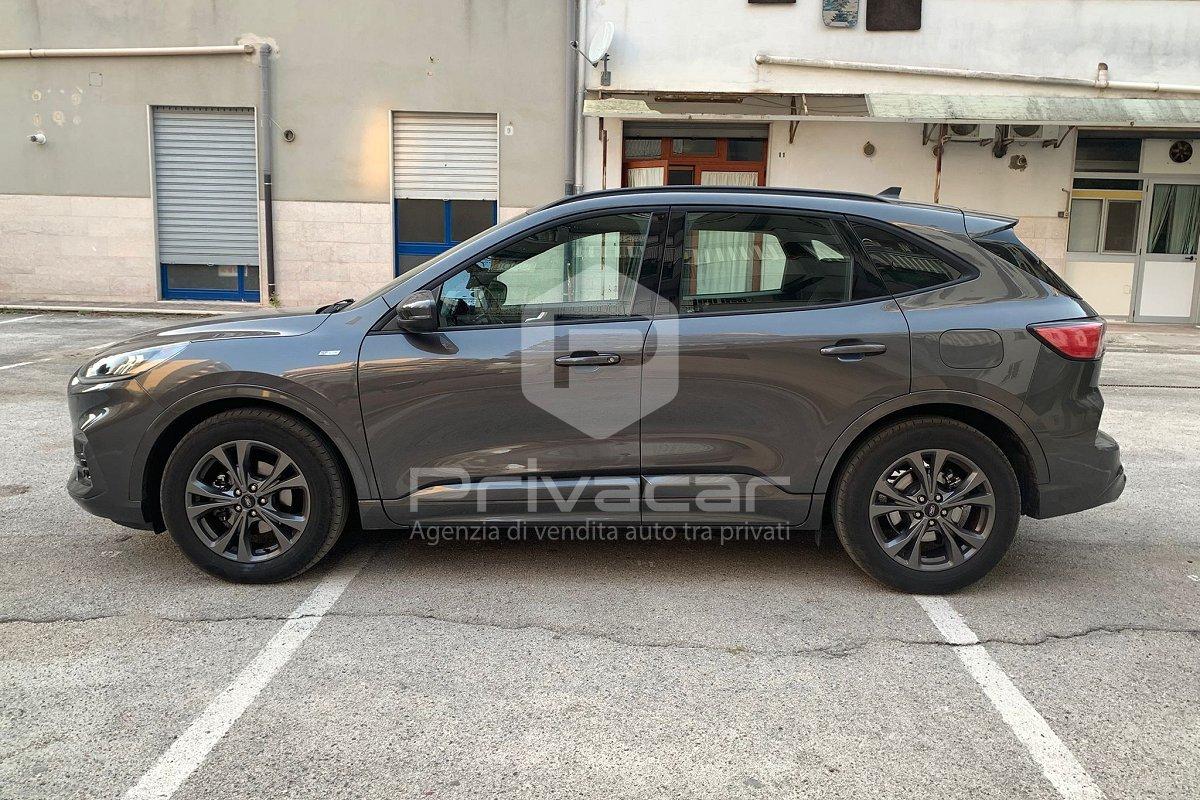 FORD Kuga 1.5 EcoBlue 120 CV aut. 2WD ST-Line X