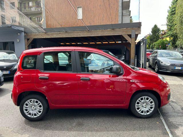 FIAT Panda 1.0 FireFly S&S *PREZZO PROMO*