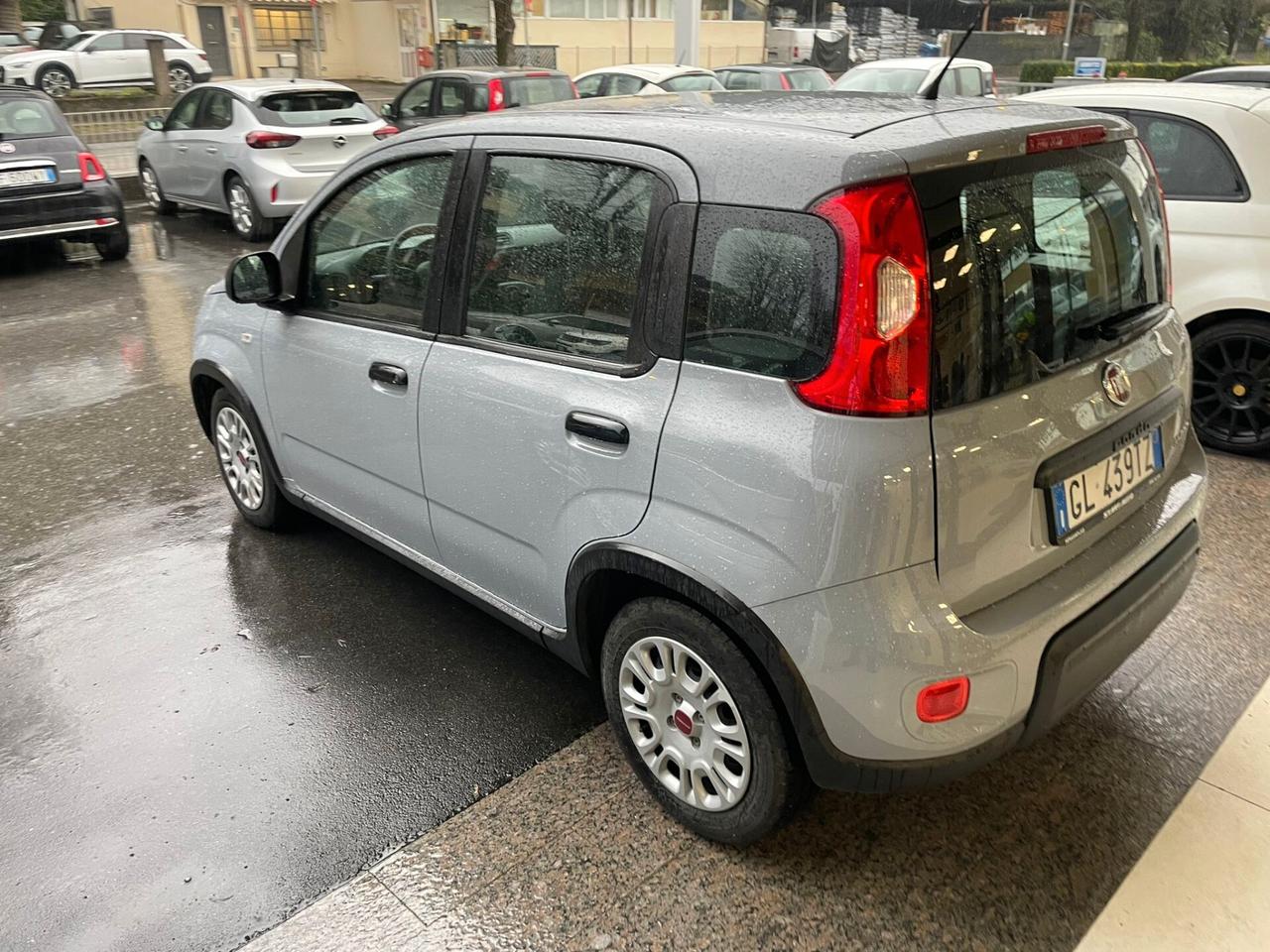 Fiat Panda 1.0 FireFly S&S Hybrid PREZZO PROMO