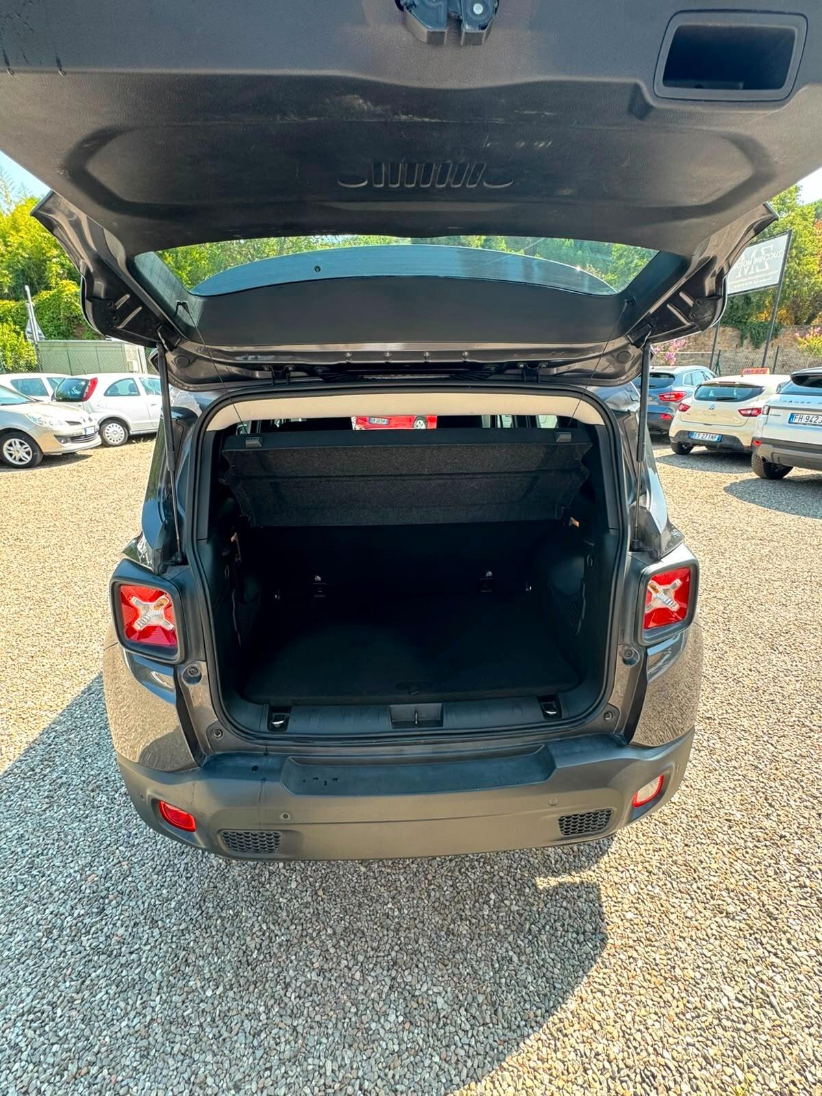 Jeep Renegade 1.6 Mjt 120 CV Longitude