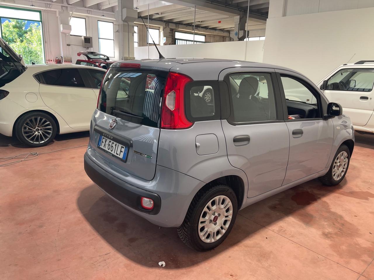 Fiat Panda 1.2 Lounge SI NEOPATENTATI