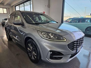 Ford Kuga 2.0 ecoblue ST-Line X 190cv AUTOMATICO