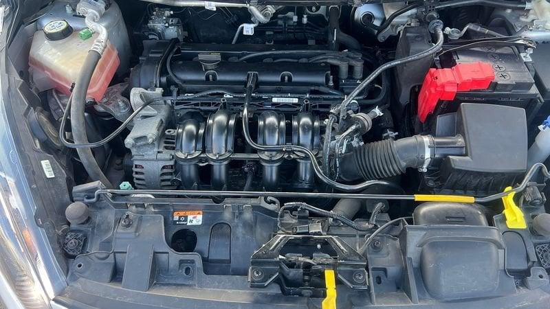 Ford Fiesta 5 Porte 1.2 60cv Plus E6 5P 1.2 PLUS 60CV E6