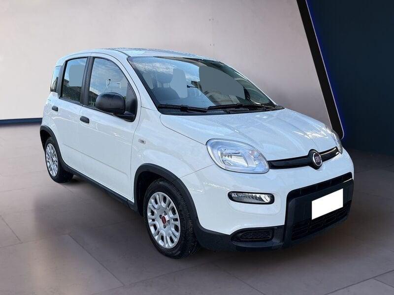 FIAT Panda My23 1.0 70cv Hybrid Panda