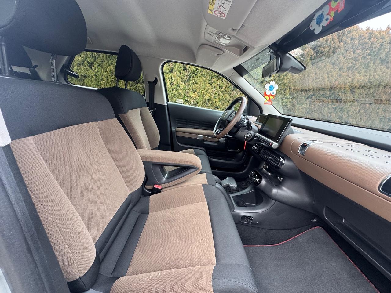 Citroen C4 Cactus BlueHDi 100 Feel