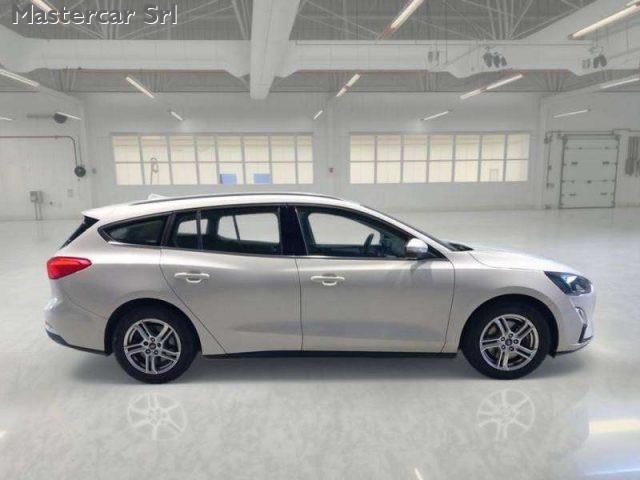 FORD Focus Focus SW 1.5 ecoblue Business 120cv auto - GG255ZL