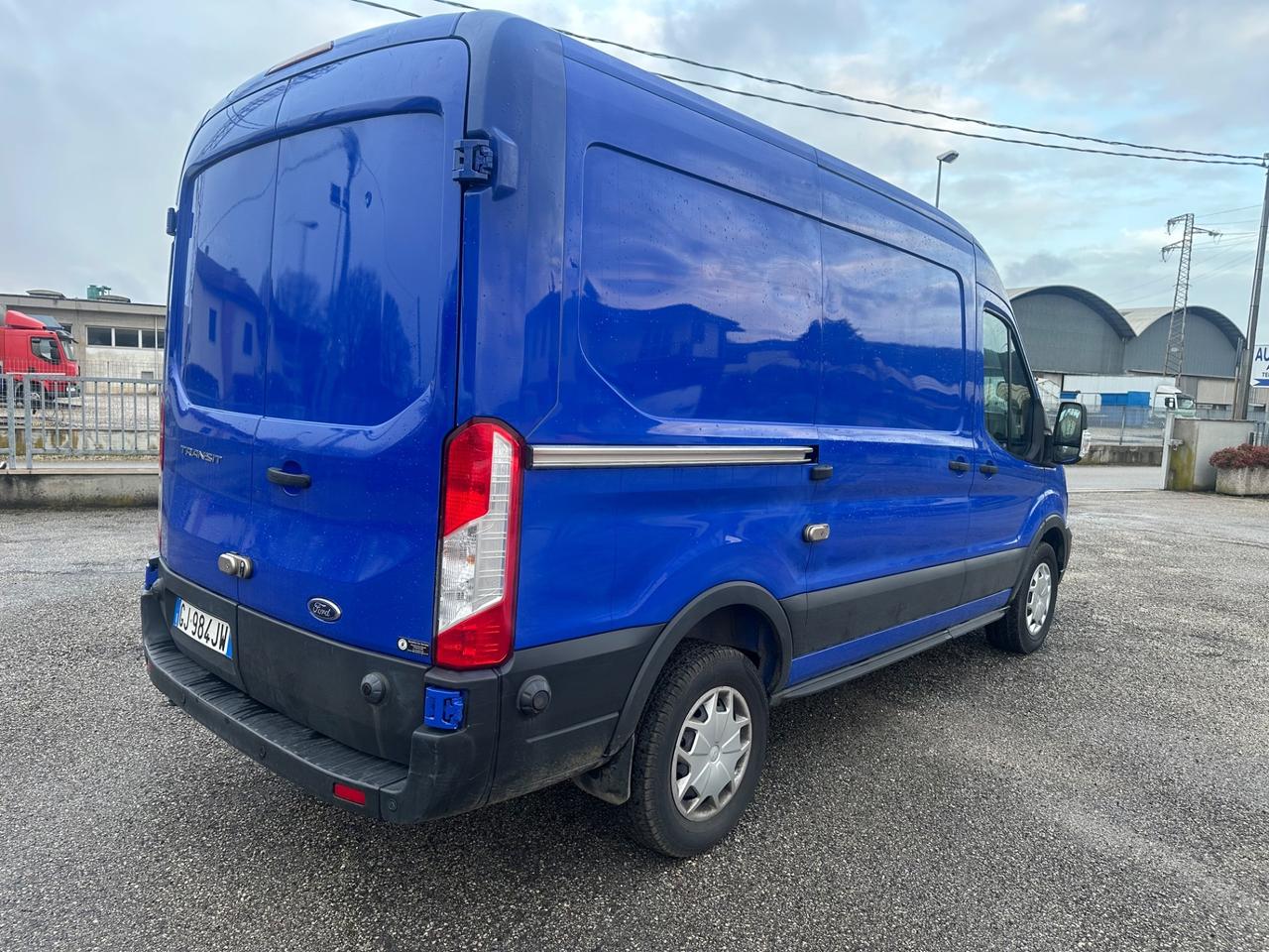 Ford Transit 290 2.0TDCi EcoBlue PM-TM Furgone Trend