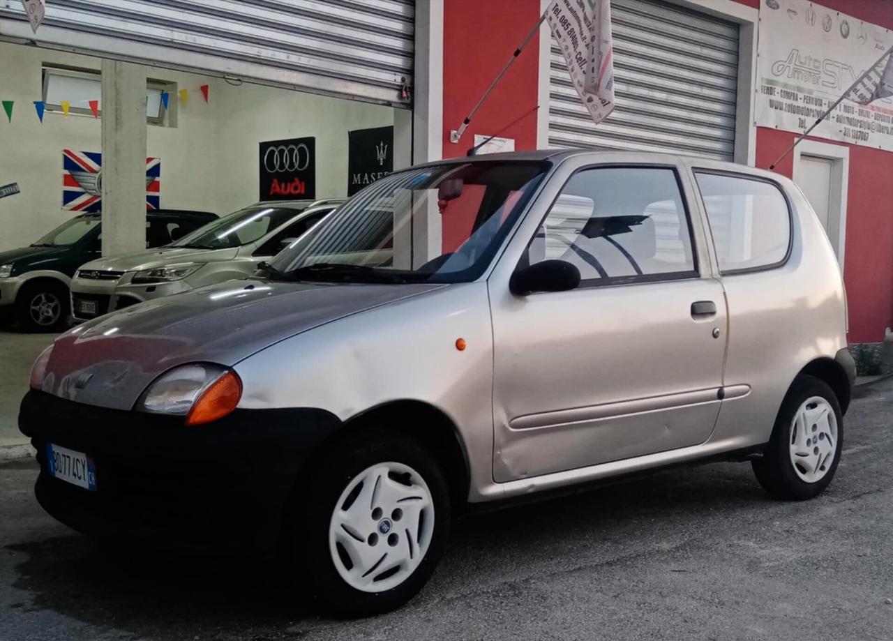 Fiat Seicento 900i cat Young