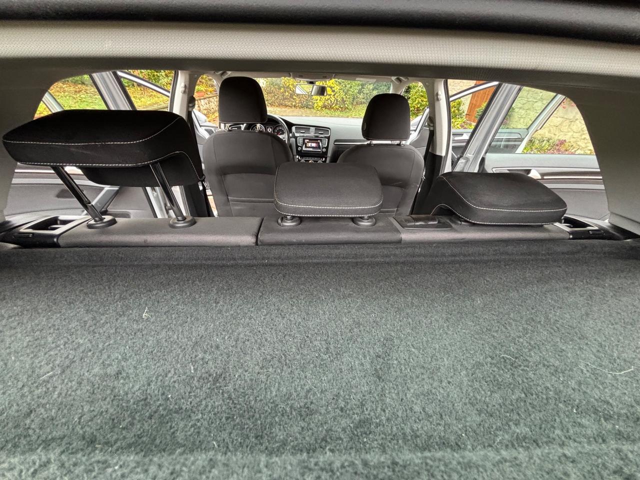 Volkswagen Golf 1.6 TDI 5p. 4MOTION