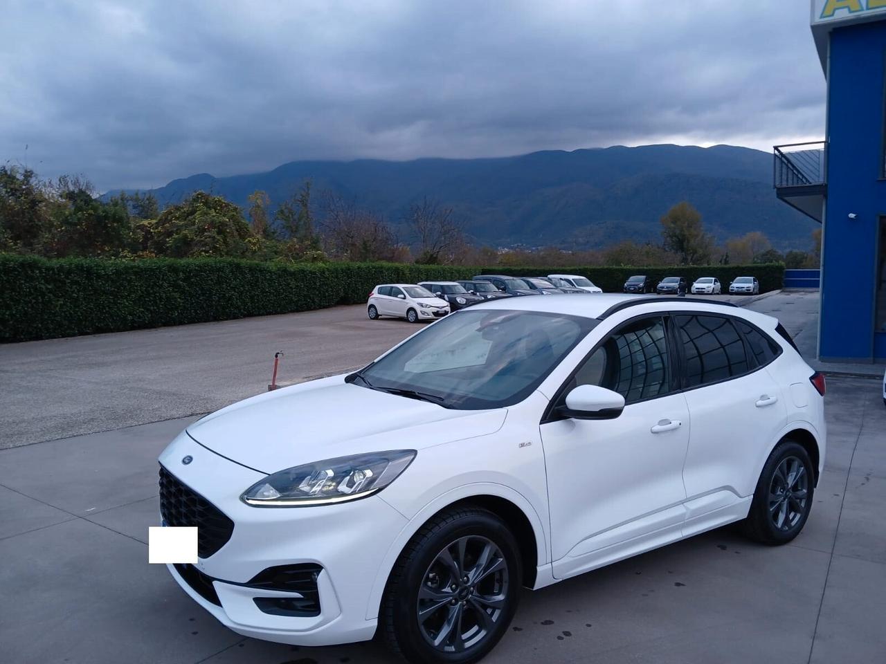 Ford Kuga 1.5TDci 120cv ST-Line X anno 2021