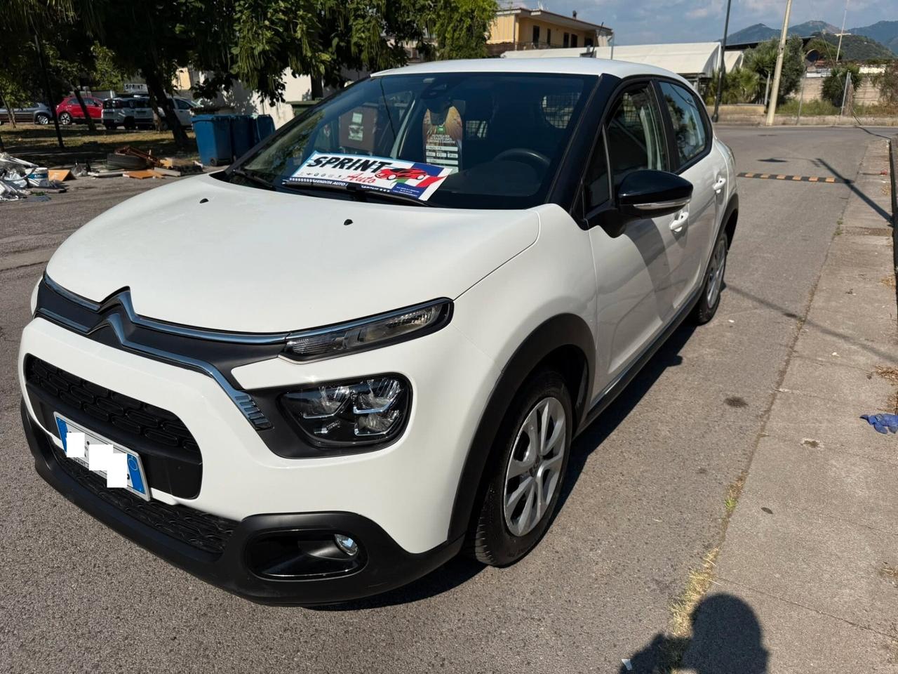 Citroen C3 BlueHDi 100 S&S Van 2 posti