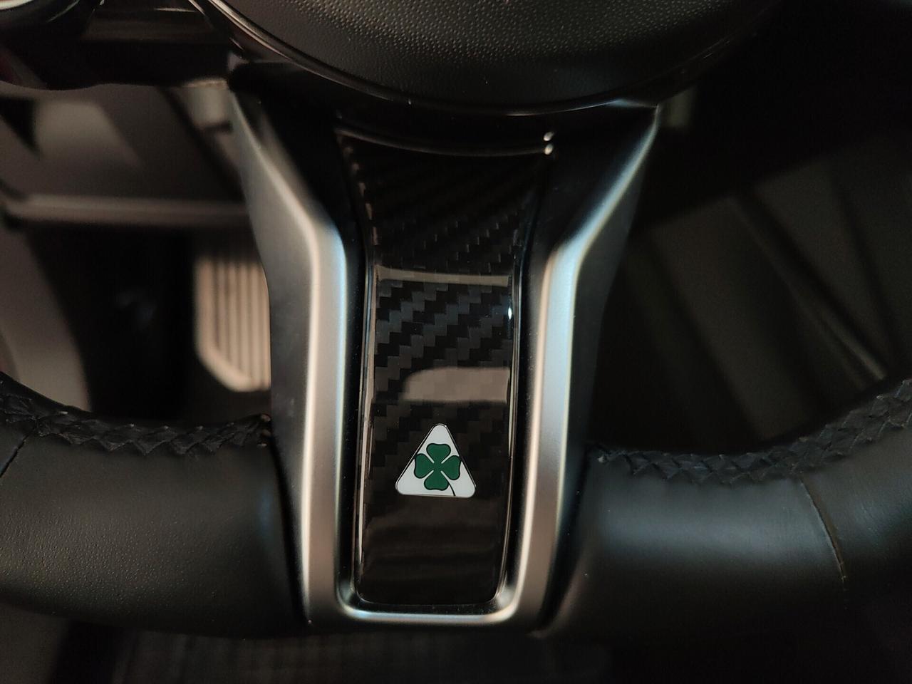 Alfa Romeo Stelvio 2.9 Bi-Turbo V6 520 CV AT8 Q4 Quadrifoglio