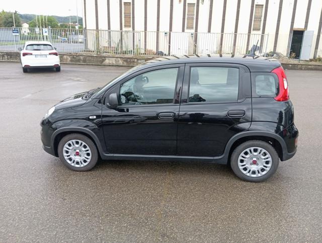 FIAT Panda *PROMO* 1.0 FireFly S&S Hybrid