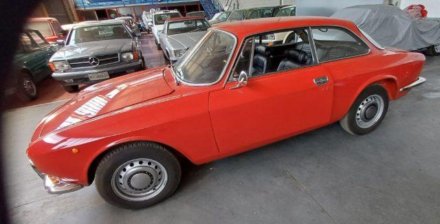 ALFA ROMEO GT JUNIOR LEGGERE GRAZIE