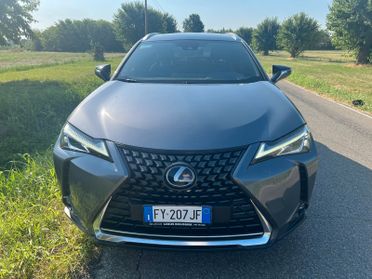 Lexus UX Hybrid 4WD Executive