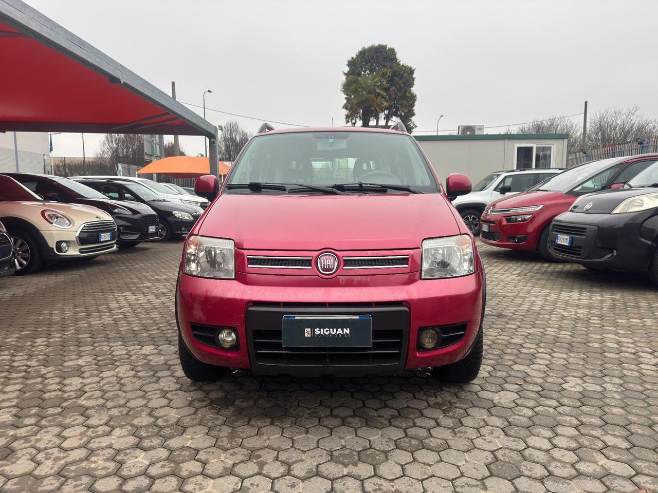 Fiat Panda 1.2 4x4 ADATTA A NEOPATENTATI Active GPL