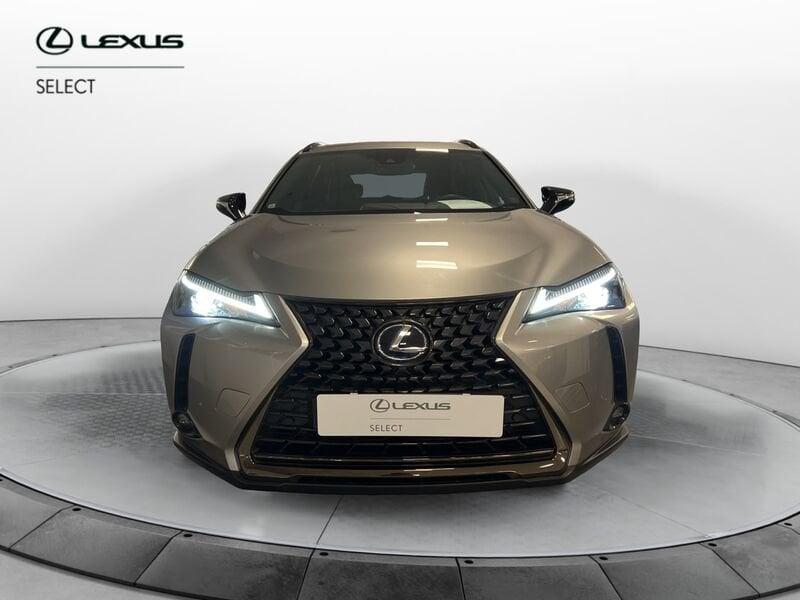 Lexus UX Hybrid 4WD Midnight