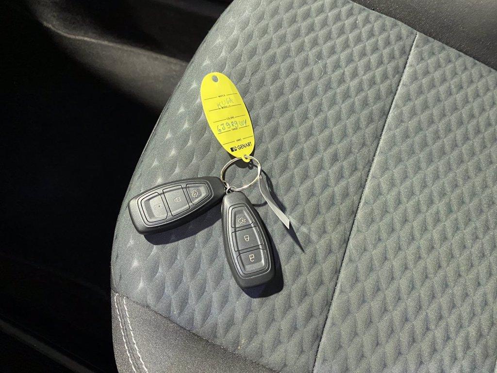 FORD Kuga 1.5 ecoblue Connect 2wd 120cv auto del 2022