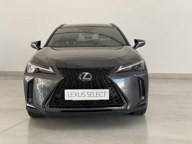 Lexus UX 250h Hybrid 4WD Design