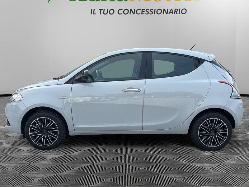 Lancia Ypsilon 1.2 69 CV 5 porte S&S Platinum