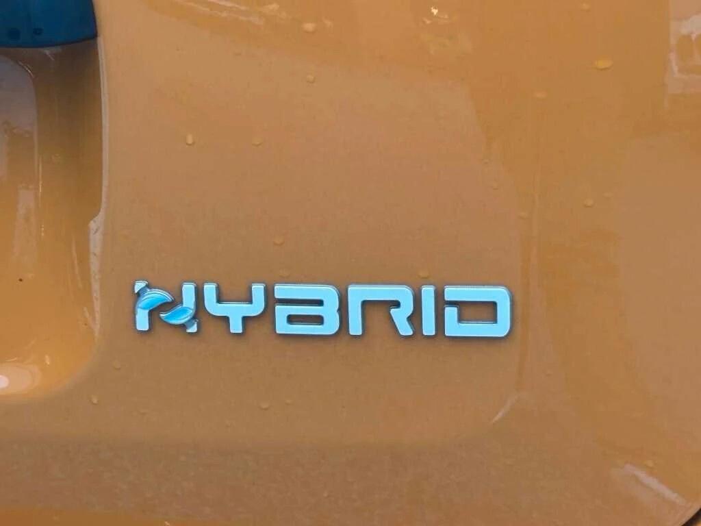 Fiat Panda 1.0 FireFly S&S Hybrid