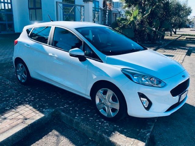 Ford Fiesta business