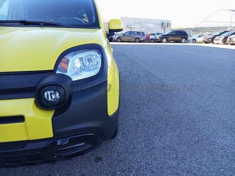 FIAT Panda Pandina 1.0 70 cv Hybrid