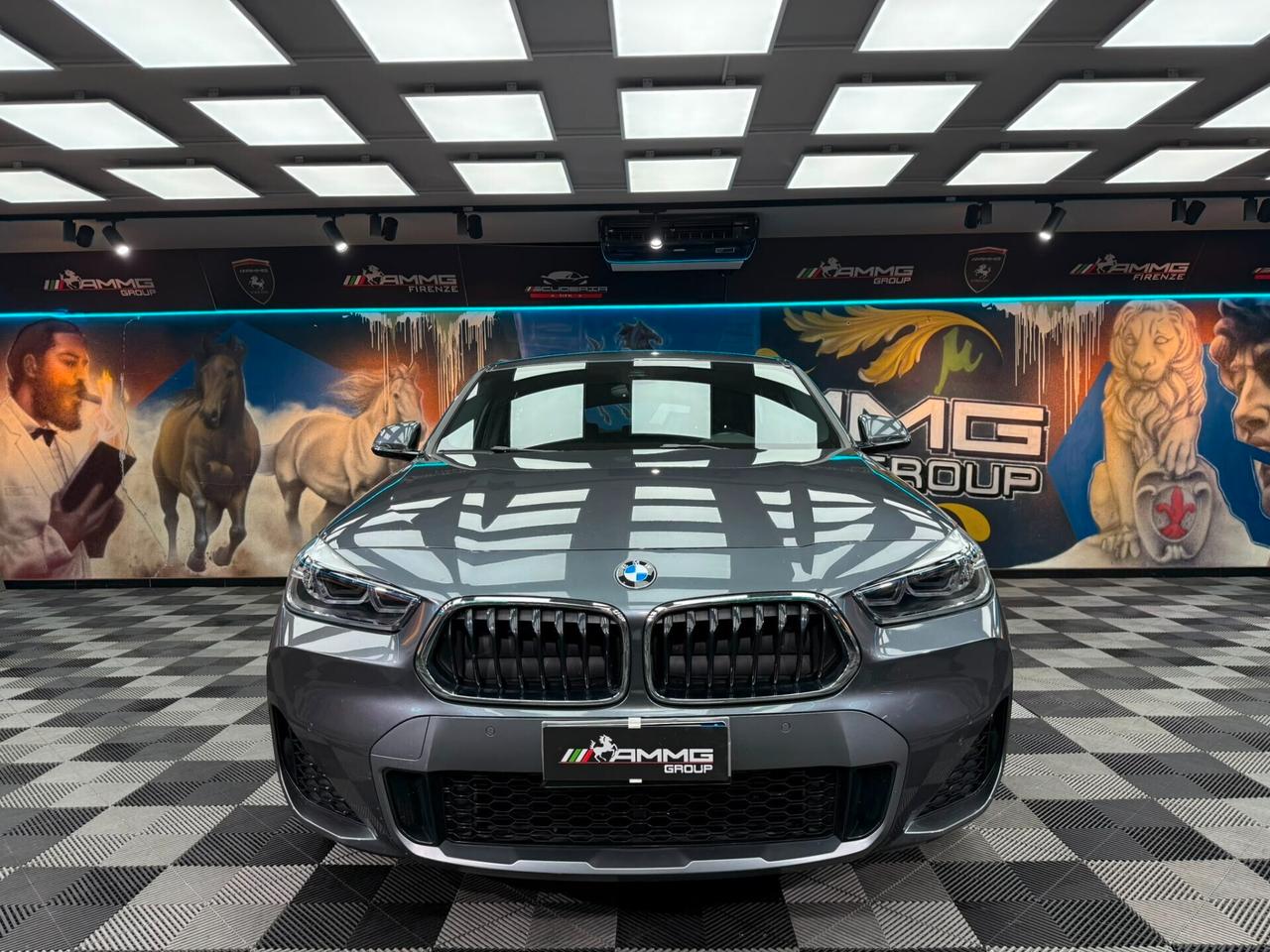 Bmw X2 sDrive18d Msport-X (611)