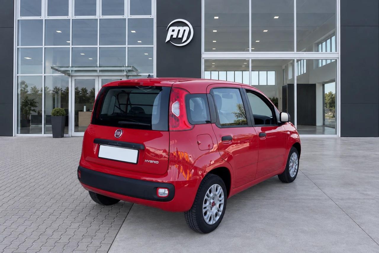Fiat Panda 1.0 Hybrid Van 4 posti