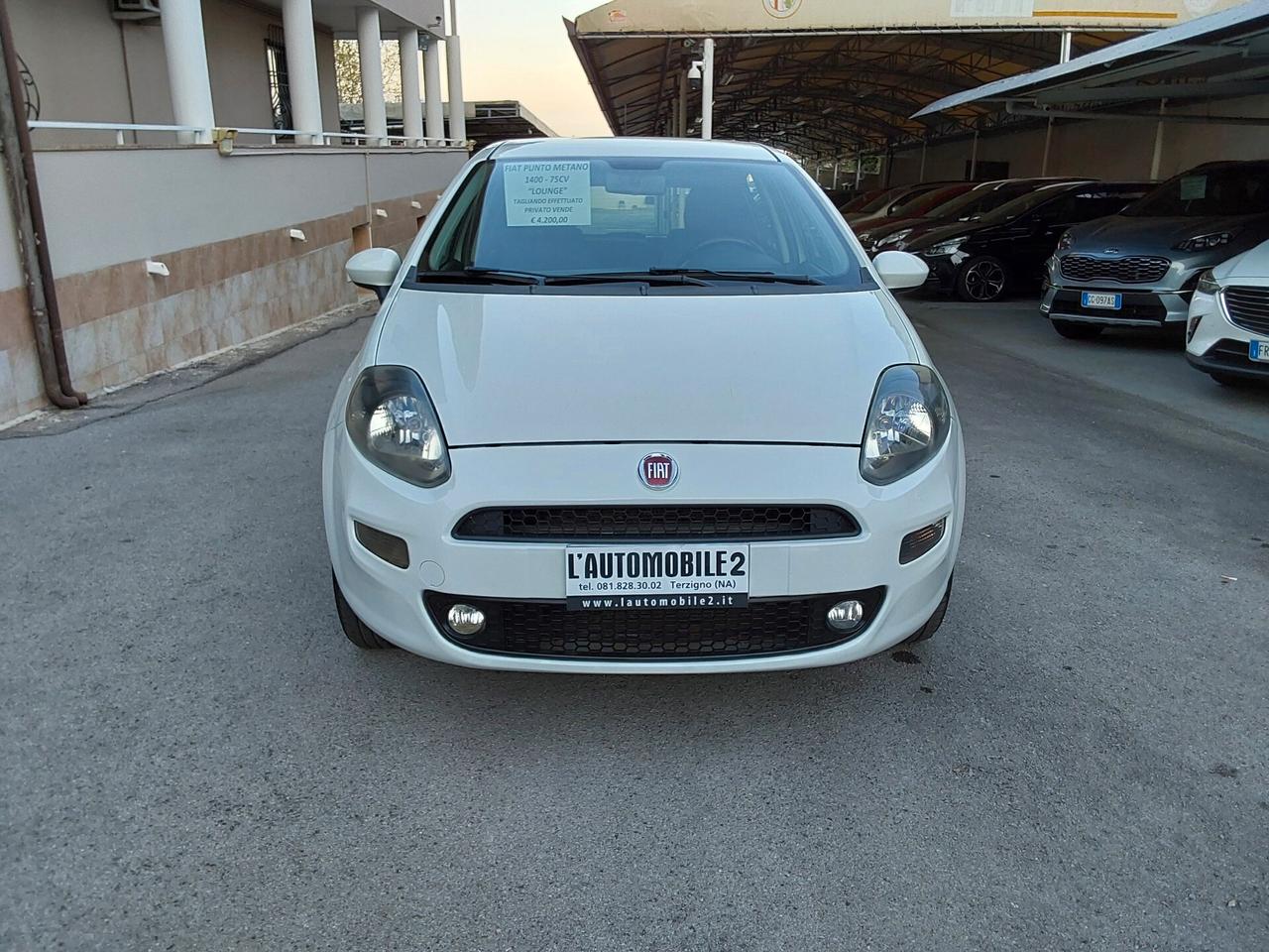 Fiat Punto 1.4 8V LOUNGE Natural Power (METANO).