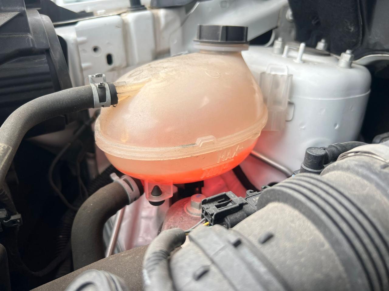 Ford EcoSport 1.0 EcoBoost 100 CV ST-Line Black Edition