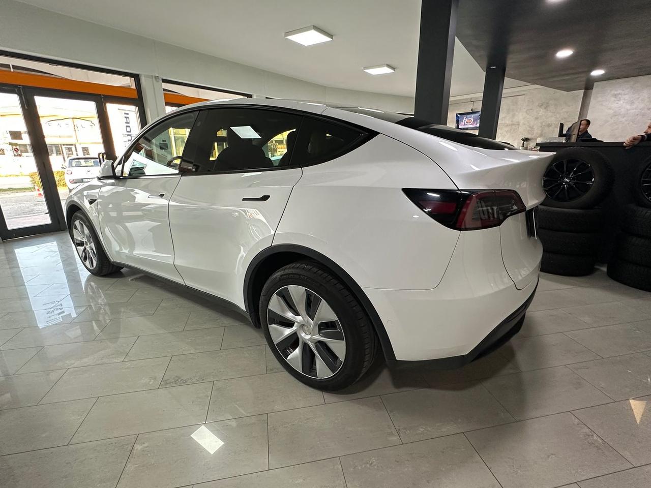 Tesla Model Y Dual Motor Long Range AWD #7384