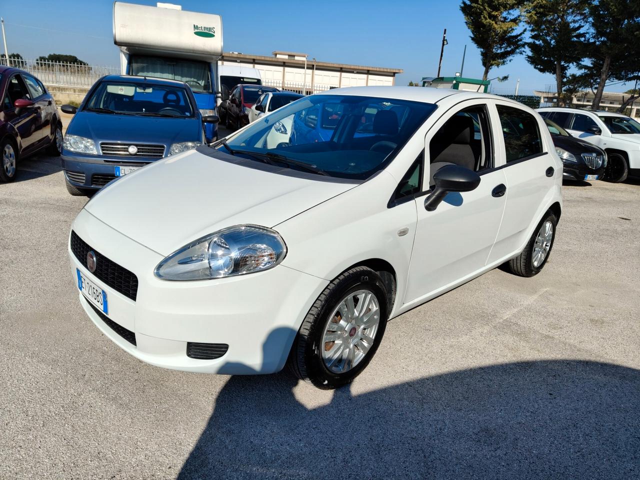 Fiat Punto 1.3 MJT II 75 CV 5 porte Easy