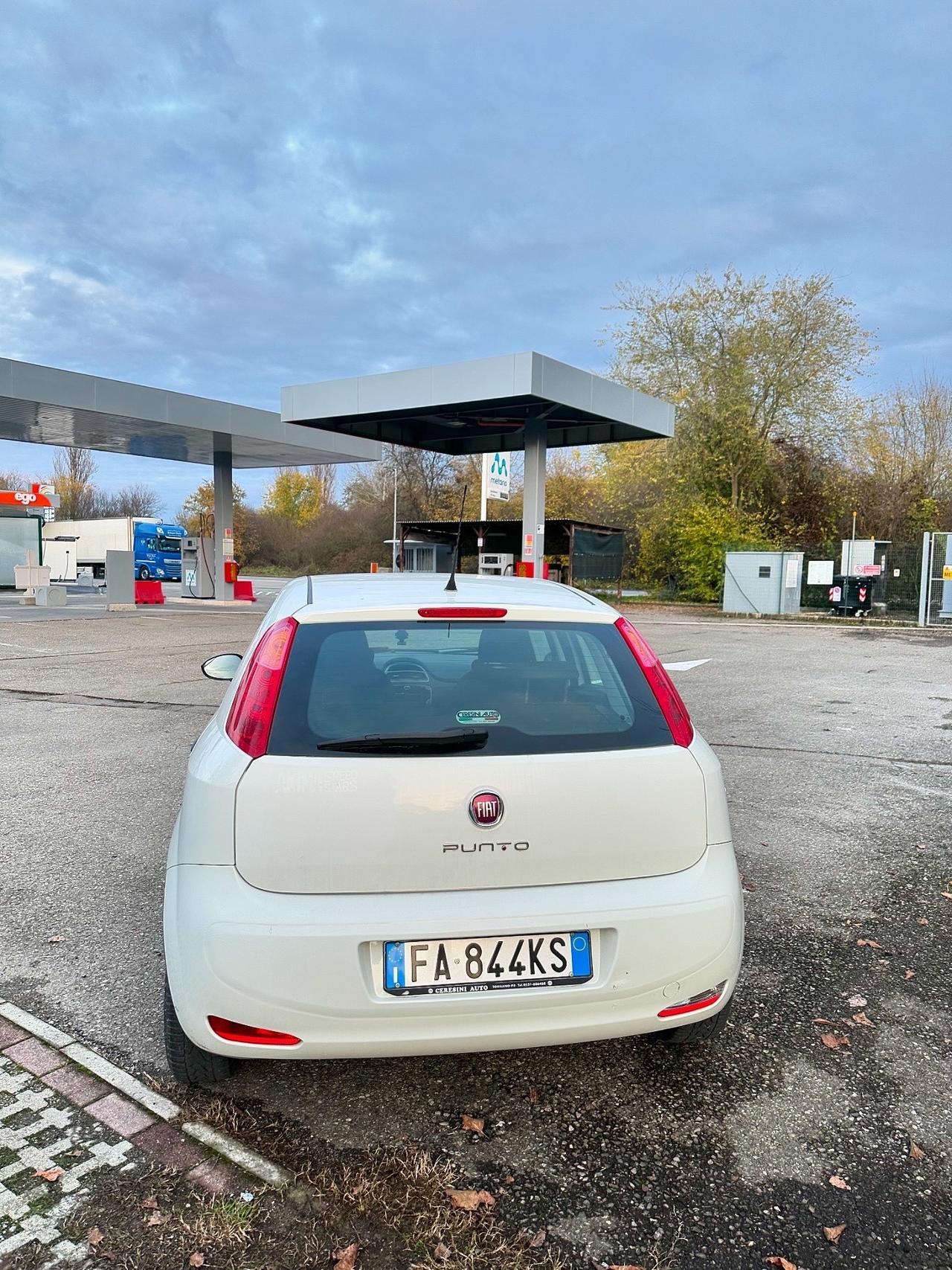 Fiat Punto 1.4 8V 5 porte Easypower Lounge