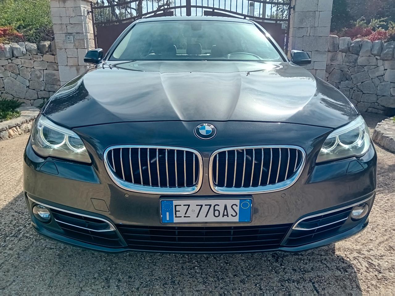 Bmw 520 520d Luxury berlina