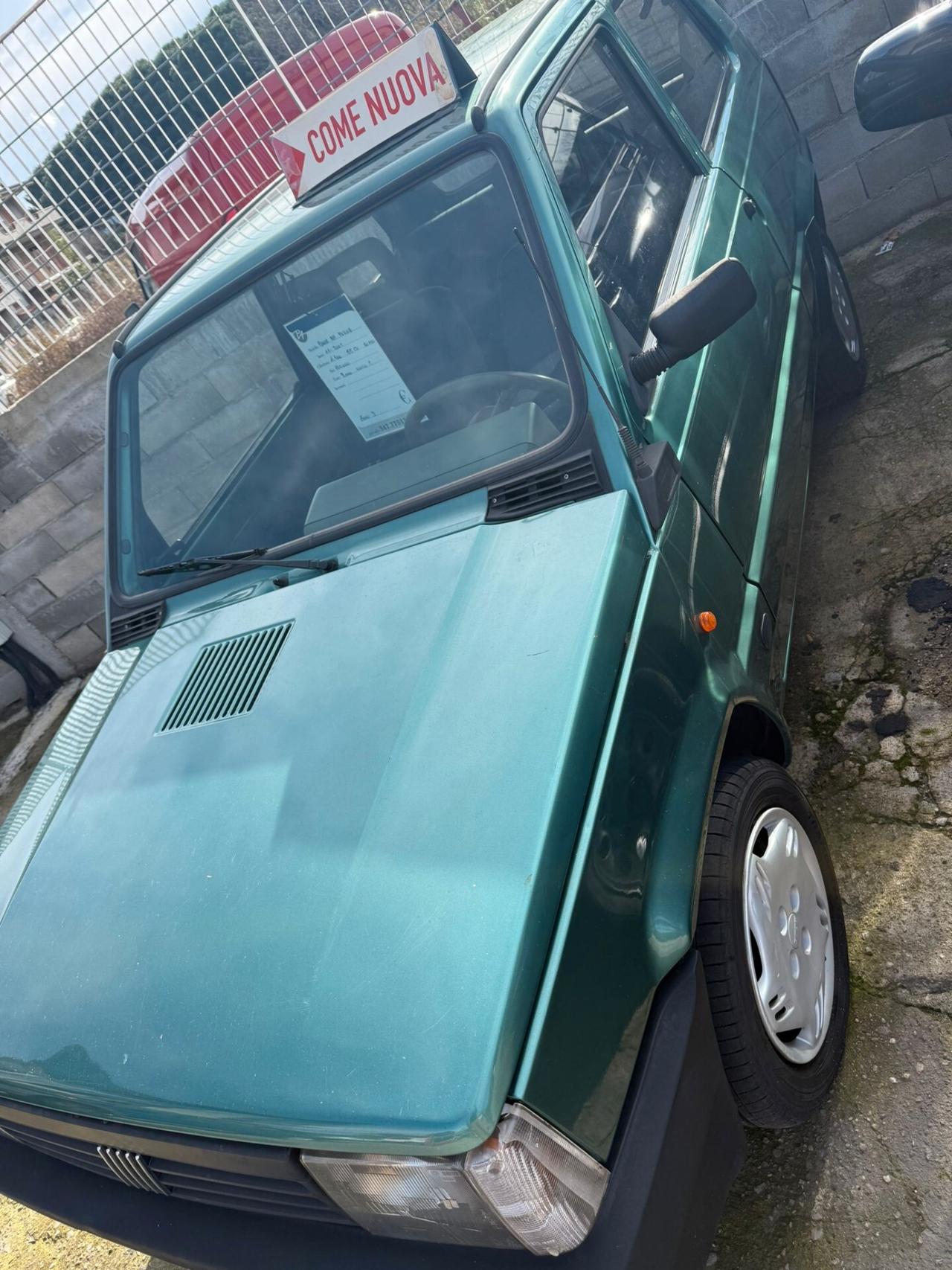 Fiat Panda 1100 i.e. cat Young